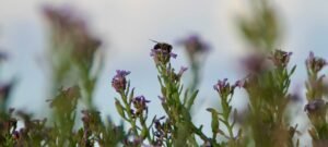 Mindfulness … just another overly used term  ?