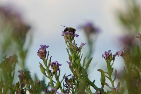 Mindfulness … just another overly used term  ?